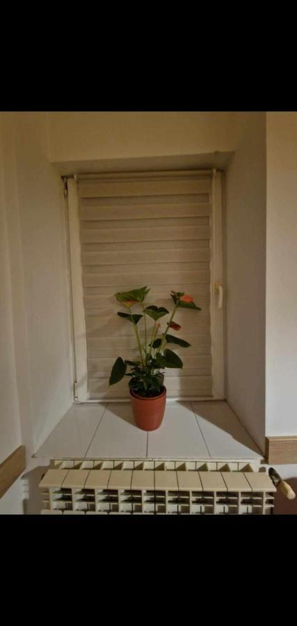 Ap Central Traian Mosoiu 2 Parcare Proprie Cluj-Napoca Exterior foto